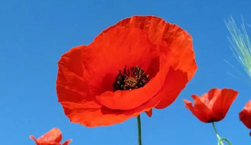 夢(mèng)見(jiàn)窗外下雨了是什么意思 夢(mèng)見(jiàn)窗外下雨了是什么意思