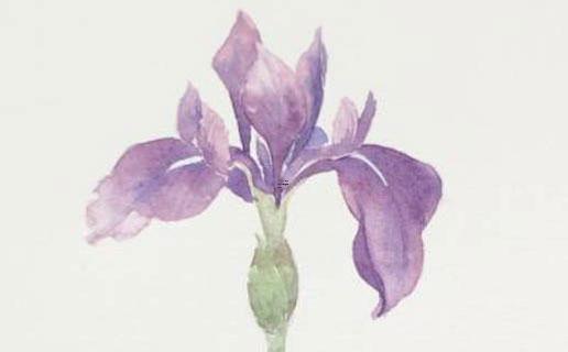 男裝店名字潮 寓意財源廣進店鋪名字 男裝店名字潮 寓意財源廣進店鋪名字