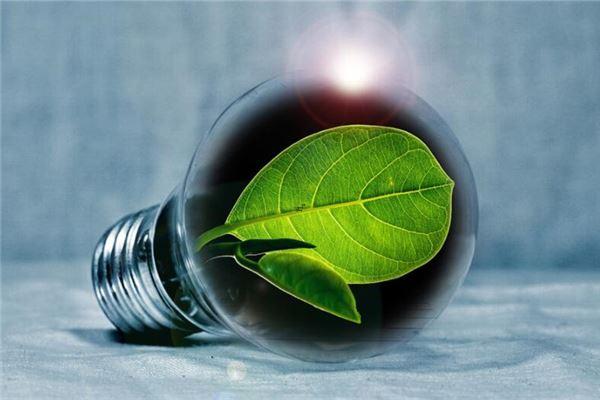 周公解夢夢到自己身上掉皮 夢到自己身上脫皮 周公解夢夢到自己身上掉皮 夢到自己身上脫皮