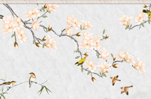 易經西北代表什么意思 西北在易經中屬于什么方位 易經西北代表什么意思 西北在易經中屬于什么方位