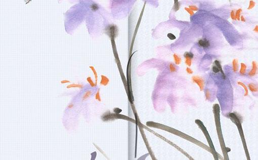 客廳適合養的18種植物 十大客廳風水植物