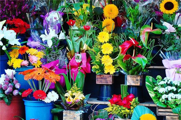 夢見紅色的麥穗 夢見紅色的麥田