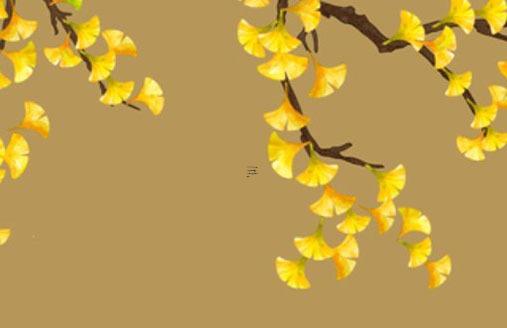 屬蛇男和屬豬女的姻緣怎樣，屬蛇男和屬豬女結婚幸福嗎