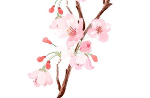 夫妻都是84年的鼠婚姻 84年鼠婚姻如何 夫妻都是84年的鼠婚姻 84年鼠婚姻如何