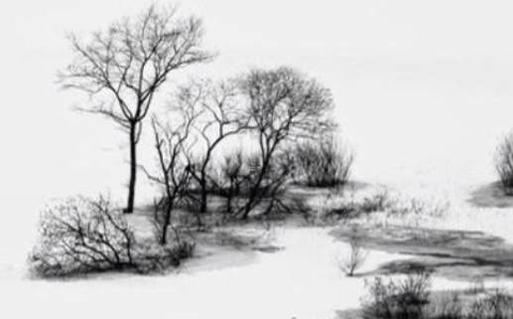 屬龍女的和什么屬相最配婚姻,屬龍女的和什么屬相最配、相克 屬龍女的和什么屬相最配婚姻,屬龍女的和什么屬相最配、相克