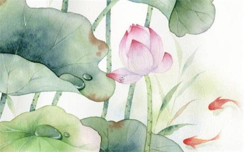 農歷四月十六出生的女孩命運如何 農歷4月16出生的女孩好不好 農歷四月十六出生的女孩命運如何 農歷4月16出生的女孩好不好