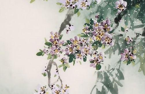 屬虎的哪個時辰出生最好男孩呢 屬虎的男孩生在什么時辰好 屬虎的哪個時辰出生最好男孩呢 屬虎的男孩生在什么時辰好