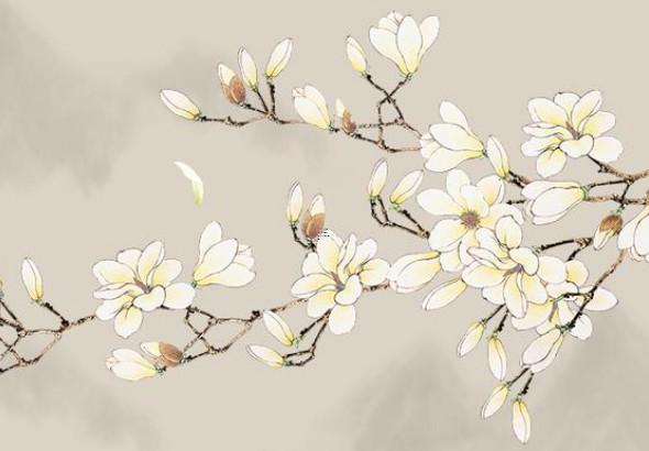 算命說我明年走官運 算命先生說我明年開始走運氣 算命說我明年走官運 算命先生說我明年開始走運氣