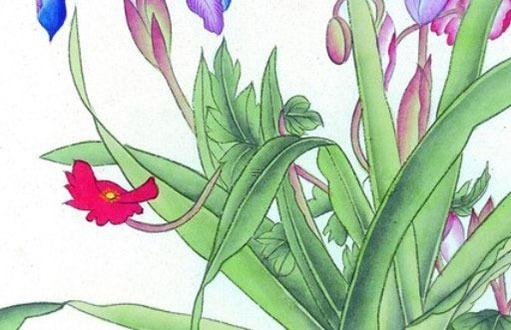 屬猴的26歲,屬猴的人過了28才好命 屬猴的26歲,屬猴的人過了28才好命