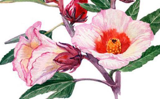 開五金店怎么起名好 吉祥的取名宜用字