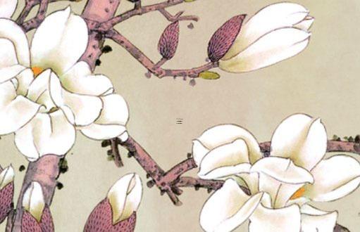 屬蛇女和屬兔男婚配否,屬蛇女和屬兔男合適嗎