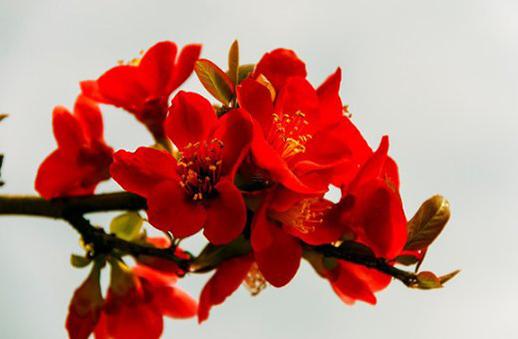 農(nóng)歷七月十六是什么時候 農(nóng)歷七月十六是什么日子 農(nóng)歷七月十六是什么時候 農(nóng)歷七月十六是什么日子