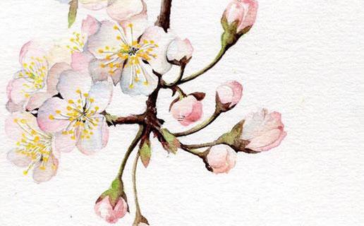 虎寶寶的名字大全男 有書香才氣的男孩名字 虎寶寶的名字大全男 有書香才氣的男孩名字