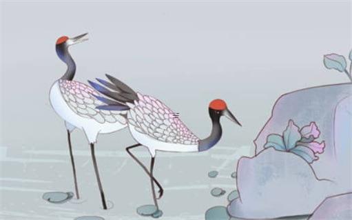 屬鼠跟屬兔婚姻相配嗎，屬鼠和屬兔的婚姻合不合