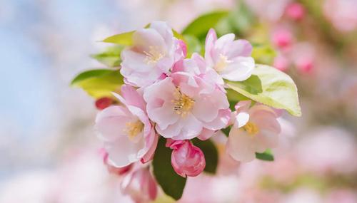 做夢夢見給自己算命的意思 夢中給自己算命