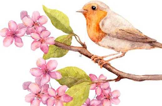 成都算八字的地方 成都算八字去哪個寺廟 成都算八字的地方 成都算八字去哪個寺廟