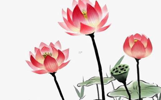 好聽的英文lol名字 好聽的英文lol名字