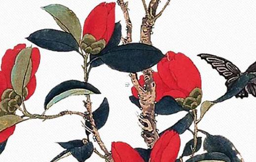 虎的姻緣跟什么搭配 虎年姻緣與什么配 虎的姻緣跟什么搭配 虎年姻緣與什么配