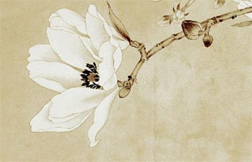 八字食傷旺喜走什么運(yùn) 食傷旺走什么大運(yùn)比較好