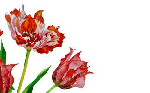 招財公司名字有哪些 2022吉祥如意好名字推薦 招財公司名字有哪些 2022吉祥如意好名字推薦