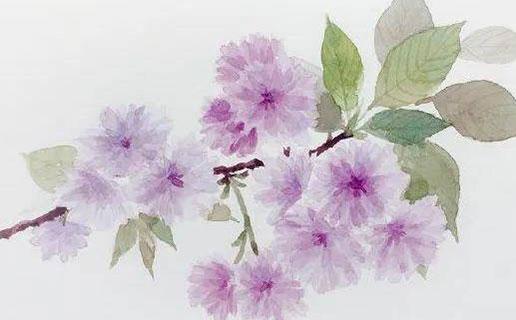 QQ清心網名最新 qq名 清新 QQ清心網名最新 qq名 清新