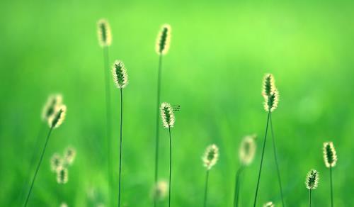 周公解夢大全查詢夢見床上有小孩 夢見床上有一個小孩