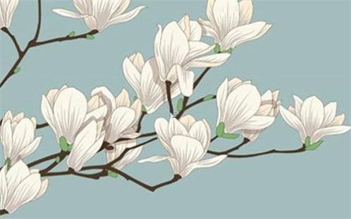 屬蛇2023年佩戴紅繩，屬蛇戴紅繩子好不