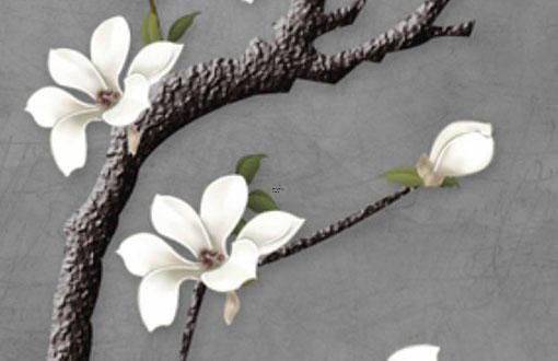 算命面黑是什么意思是什么 算命臉色發(fā)黑