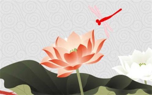 屬兔人2023本命年運(yùn)勢(shì)，屬兔人2023本命年運(yùn)勢(shì)如何