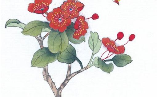 屬鼠和什么屬相最旺 屬鼠和什么屬相最佳 屬鼠和什么屬相最旺 屬鼠和什么屬相最佳