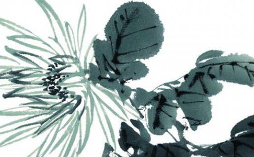 屬猴今年40幾歲 40歲屬猴嗎 屬猴今年40幾歲 40歲屬猴嗎