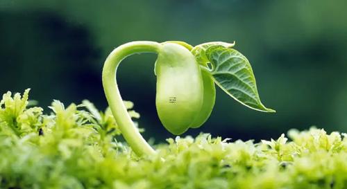 夢見車被交警開走啥意思 夢見汽車被交警開走了