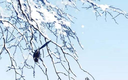 癸水和丙火是上輩子注定的嗎 丙火見癸水最貴