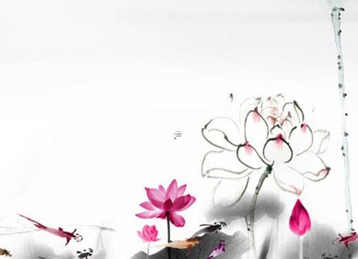 女兔男馬屬相婚配好嗎婚姻如何 女兔男馬的婚姻怎么樣 女兔男馬屬相婚配好嗎婚姻如何 女兔男馬的婚姻怎么樣