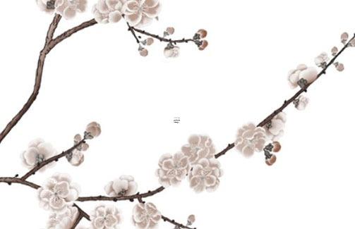 輸入姓名查結婚證章艷 查找結婚登記姓名