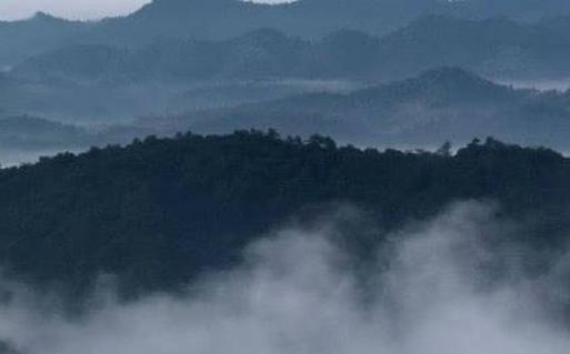 屬蛇婚姻感情,屬蛇人的愛情婚姻怎么樣 屬蛇婚姻感情,屬蛇人的愛情婚姻怎么樣