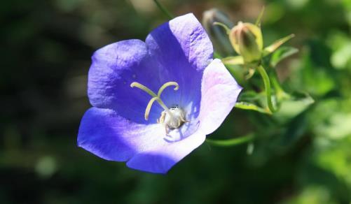 夢見買裝飾品周公解夢 夢見買裝潢材料 夢見買裝飾品周公解夢 夢見買裝潢材料