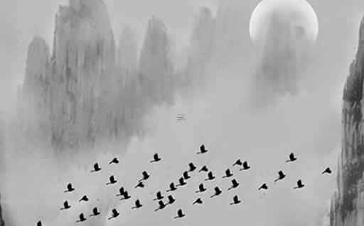 2005年有屬猴的嗎 屬猴的今年多大2005年的 2005年有屬猴的嗎 屬猴的今年多大2005年的