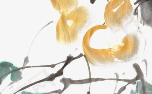 獅子女的標(biāo)準(zhǔn)長(zhǎng)相 獅子座暗戀你的小舉動(dòng) 獅子女的標(biāo)準(zhǔn)長(zhǎng)相 獅子座暗戀你的小舉動(dòng)