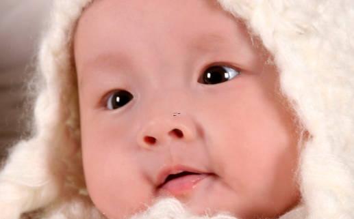 好聽的花瓶名字 好聽的花瓶名字