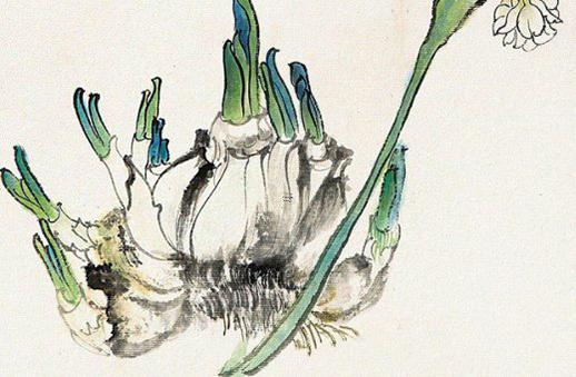 算命帶雙錄神是什么意思 雙錄指的是什么