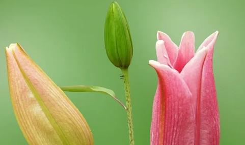 周公解夢夢見自己吐黑色的痰 夢見自己吐黑口痰