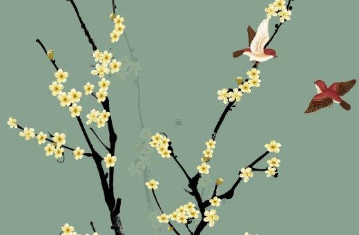 屬兔的女人幾月出生好 屬兔女人幾月出生好命最好 屬兔的女人幾月出生好 屬兔女人幾月出生好命最好