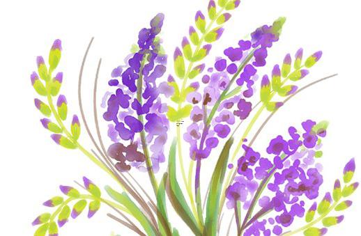 死亡占卜2結局啥意思啊 死亡占卜2