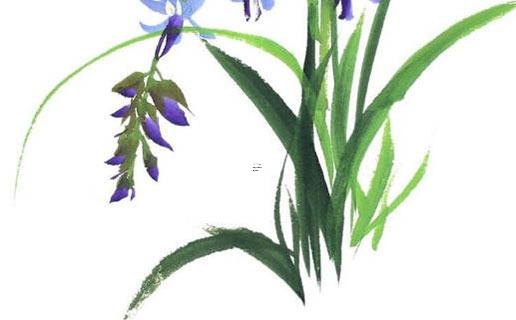 算命一定要有八字嗎 算命需要名字嗎 算命一定要有八字嗎 算命需要名字嗎