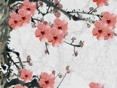 屬兔今年結(jié)婚的吉日 屬兔今年結(jié)婚的好日子