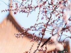 女寶寶五行缺火的名字大全 女寶寶五行缺火的名字大全三個(gè)字