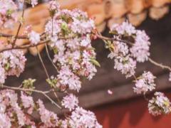 射手女喜歡身體接觸嗎 射手女在床上的表現特點