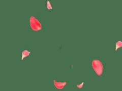 干咳嗽無痰該吃什么好的藥 干咳無痰吃什么藥好