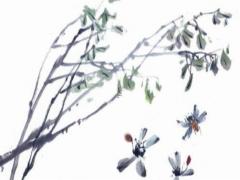 屬虎正月十六出生的命運是什么 屬虎的正月十九出生的命運